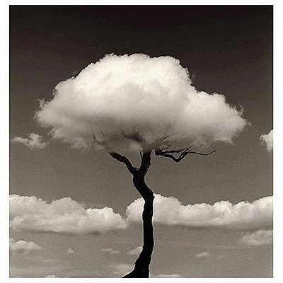 منتخبی از آثار خوزه ماریا رودریگز مادوز