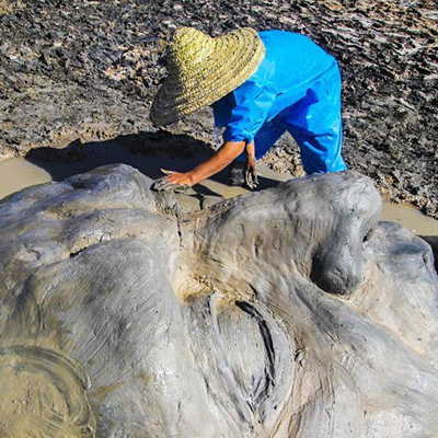 سایت جشنواره ملی مجسمه‌های نمکی در دست طراحی است