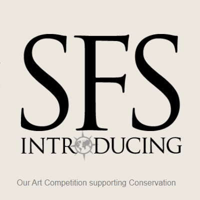 فراخوان رقابت نقاشی SFS