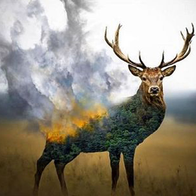 نگاهی به آثار هنری مرتبط با آتش‌سوزی جنگل‌های زاگرس