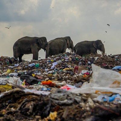 برگزیده رقابت عکاسی جهان درحال تغییر ما ۲۰۲۰